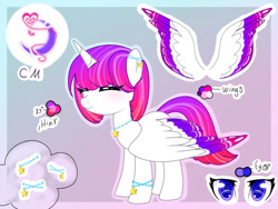 Size: 800x600 | Tagged: safe, artist:naraoflove, derpibooru import, oc, oc:nara, alicorn, pony, female, mare, reference sheet, solo