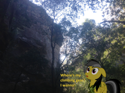 Size: 1002x748 | Tagged: safe, artist:didgereethebrony, derpibooru import, daring do, pony, blue mountains, cliff, didgeree collection, irl, mlp in australia, photo, ponies in real life, solo, valley, wide eyes