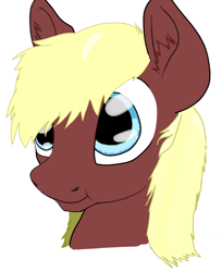 Size: 1172x1438 | Tagged: safe, artist:springshrub, derpibooru import, oc, pony, bust, male, portrait, solo