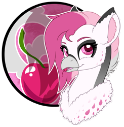 Size: 2468x2522 | Tagged: safe, artist:mynder, derpibooru import, oc, oc only, oc:cherry feather, classical hippogriff, hippogriff, bust, cherry, chest fluff, female, fluffy, food, hippogriff oc, simple background, transparent background