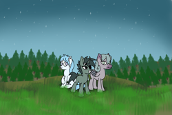 Size: 1971x1320 | Tagged: safe, artist:vbronny, derpibooru import, oc, oc only, earth pony, pegasus, pony, unicorn, female, grin, hooves, horn, male, mare, night, night sky, sitting, sky, smiling, stallion, standing, stars, tree, trio, wings