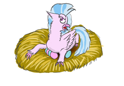 Size: 3543x2480 | Tagged: safe, artist:horsesplease, derpibooru import, silverstream, pony, angry, behaving like a chicken, brooding, egg, irritated, nest, parent:silverstream, parents:gallstream, silverstream the hen