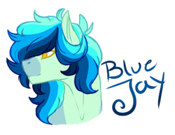 Size: 352x272 | Tagged: safe, artist:kimyowolf, derpibooru import, oc, oc:blue jay, pony, bust, male, portrait, simple background, solo, stallion, transparent background