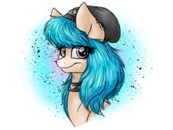 Size: 2048x1536 | Tagged: safe, artist:melonseed11, derpibooru import, oc, oc:soft aloe, earth pony, pony, beanie, bust, female, hat, mare, portrait, solo