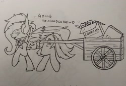 Size: 4160x2824 | Tagged: safe, artist:bitrate16, derpibooru import, oc, oc only, pegasus, pony, condoms, joke, lineart, solo, traditional art, truck, walking