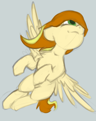 Size: 995x1253 | Tagged: safe, artist:marsminer, derpibooru import, oc, oc:vanilla sun, pony, female, flying, mare, solo