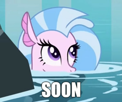 Size: 1285x1080 | Tagged: safe, derpibooru import, edit, edited screencap, editor:apex soundwave, screencap, silverstream, seapony (g4), what lies beneath, cute, diastreamies, female, funny, image macro, looking up, meme, solo, soon, text, water