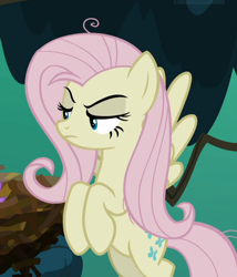 Size: 804x938 | Tagged: safe, derpibooru import, screencap, mean fluttershy, pony, the mean 6, clone, cropped, female, lidded eyes, solo