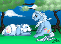 Size: 900x643 | Tagged: safe, artist:cyzzane, derpibooru import, pony, g1, baby nectar, baby pony, baby pony and pretty pal, baby stripes, duo, older, pretty pal