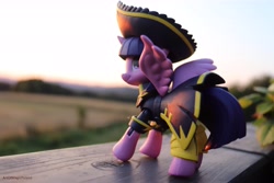 Size: 6000x4000 | Tagged: safe, artist:artofmagicpoland, derpibooru import, twilight sparkle, twilight sparkle (alicorn), alicorn, captain twilight, guardians of harmony, looking back, pirate twilight, solo, sunset, toy