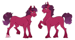 Size: 4361x2362 | Tagged: safe, artist:vindhov, derpibooru import, oc, oc only, earth pony, pony, blank flank, body freckles, chest fluff, commission, duo, freckles, offspring, parent:big macintosh, parent:sugar belle, parents:sugarmac, simple background, transparent background, twins, unshorn fetlocks