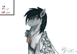 Size: 4960x3508 | Tagged: safe, artist:ethan eclipse, derpibooru import, oc, oc only, oc:ethan eclipse, pony, amulet, jewelry, long mane, original character do not steal, sole male, solo