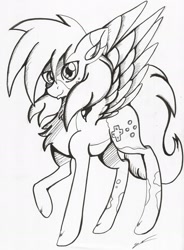 Size: 1605x2175 | Tagged: safe, artist:luxiwind, derpibooru import, oc, oc:luxi wind, pegasus, pony, male, monochrome, solo, stallion, traditional art