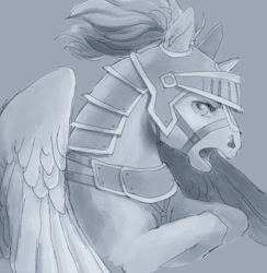 Size: 1043x1067 | Tagged: safe, artist:amphoera, derpibooru import, oc, pegasus, pony, armor, looking at you, solo