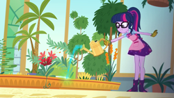 Size: 1920x1080 | Tagged: safe, derpibooru import, screencap, sci-twi, twilight sparkle, better together, equestria girls, my little shop of horrors, apron, boots, celestia's house, clothes, cute, geode of telekinesis, glasses, gloves, greenhouse, magical geodes, palm tree, plant, ponytail, room to grow, shoes, skirt, solo, tree, twiabetes, watering can