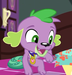 Size: 516x540 | Tagged: safe, derpibooru import, screencap, spike, spike the regular dog, dog, better together, equestria girls, reboxing with spike!, collar, cropped, cute, male, paws, smiling, spikabetes, spike's dog collar