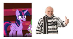 Size: 987x528 | Tagged: safe, derpibooru import, edit, edited screencap, screencap, spike, twilight sparkle, twilight sparkle (alicorn), alicorn, human, pony, horse play, faic, hide the pain harold, irl, meme, not art, photo, similarities, youtube