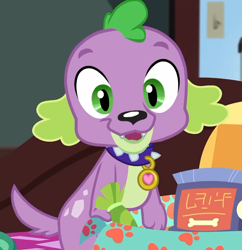 Size: 698x720 | Tagged: safe, derpibooru import, screencap, spike, spike the regular dog, dog, better together, equestria girls, reboxing with spike!, cropped, looking at you, male, paws, written equestrian