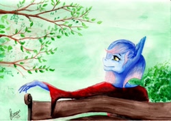 Size: 2560x1813 | Tagged: safe, artist:stirren, derpibooru import, oc, oc only, anthro, bench, solo, traditional art, tree