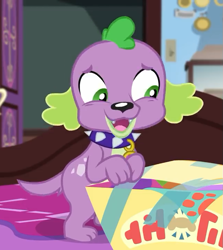 Size: 643x720 | Tagged: safe, derpibooru import, screencap, spike, spike the regular dog, dog, better together, equestria girls, reboxing with spike!, box, cropped, male, paws, sci-twi's room, spike's dog collar