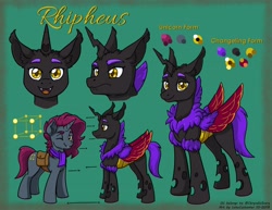 Size: 3300x2550 | Tagged: safe, artist:latecustomer, derpibooru import, oc, oc only, oc:rhipheus, changeling, annoyed, changeling oc, chest fluff, crystal lattice, cutie mark, disguise, disguised changeling, fluffy changeling, male, one eye closed, reference sheet, smiling, solo, wink