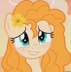 Size: 372x381 | Tagged: safe, derpibooru import, screencap, pear butter, earth pony, pony, the perfect pear, blushing, cropped, cute, pearabetes, profile picture, smiling, solo