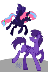 Size: 2000x3000 | Tagged: safe, artist:chelseawest, derpibooru import, oc, oc only, oc:candy high, pegasus, pony, father and child, father and daughter, female, filly, male, mare, parent and child, simple background, stallion, transparent background