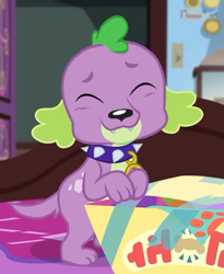 Size: 591x720 | Tagged: safe, derpibooru import, screencap, spike, spike the regular dog, dog, better together, equestria girls, reboxing with spike!, box, cropped, cute, embarrassed grin, eyes closed, male, paws, sci-twi's room, smiling, spikabetes, spike's dog collar