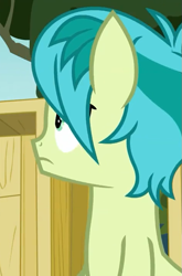 Size: 475x719 | Tagged: safe, derpibooru import, screencap, sandbar, earth pony, pony, school daze, cropped, male