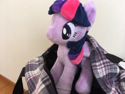 Size: 2048x1536 | Tagged: safe, derpibooru import, twilight sparkle, twilight sparkle (alicorn), alicorn, pony, 4de, cute, female, mare, plushie, solo, twiabetes