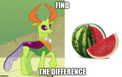 Size: 794x500 | Tagged: safe, derpibooru import, edit, edited screencap, screencap, thorax, changedling, changeling, triple threat, antlers, caption, changeling loves watermelon, find the difference, food, fruit, imgflip, king thorax, meme, spot the difference, wat, watermelon