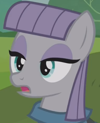 Size: 314x384 | Tagged: safe, derpibooru import, screencap, maud pie, earth pony, pony, no second prances, close-up, cropped, female, mare