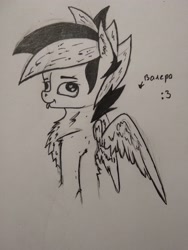 Size: 3120x4160 | Tagged: safe, artist:bitrate16, derpibooru import, oc, oc only, pegasus, pony, black and white, derp, fluffy, grayscale, lineart, monochrome, solo