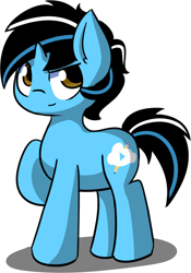 Size: 1056x1511 | Tagged: safe, artist:arielsbx, derpibooru import, oc, oc only, oc:cold dream, earth pony, pony, 2019 community collab, derpibooru community collaboration, male, reference, simple background, solo, stallion, transparent background