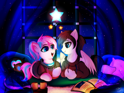 Size: 4000x3000 | Tagged: safe, artist:homecome, derpibooru import, oc, oc only, oc:ice energy, oc:panda shade, earth pony, pegasus, pony, book, clothes, collar, hoodie, lying, mug, night, pillow, shadenergy, window, ych result