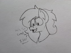 Size: 2576x1932 | Tagged: safe, artist:drheartdoodles, derpibooru import, oc, oc only, oc:dr.heart, pony, bust, dialogue, interrupted, mini comic, portrait, smiling, solo, traditional art