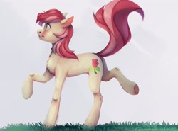 Size: 2560x1896 | Tagged: safe, artist:pilushka, derpibooru import, roseluck, earth pony, pony, chest fluff, collar, commission, cute, digital art, female, graceful, grass, mare, pet tag, pony pet, raised hoof, rosepet, walking