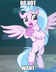 Size: 500x636 | Tagged: safe, derpibooru import, edit, edited screencap, screencap, silverstream, classical hippogriff, hippogriff, school raze, clasped hands, cropped, do not want, female, image macro, meme, solo, spread wings, text, wings