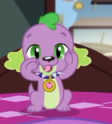 Size: 391x434 | Tagged: safe, derpibooru import, screencap, spike, spike the regular dog, dog, better together, equestria girls, reboxing with spike!, collar, cropped, male, paws, sci-twi's room, smiling, solo, spike's dog collar, tail