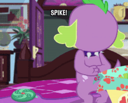 Size: 512x412 | Tagged: safe, derpibooru import, edit, edited screencap, screencap, sci-twi, spike, spike the regular dog, twilight sparkle, dog, better together, equestria girls, reboxing with spike!, angry, animated, ashamed, caption, exclamation point, gif, gif with captions, image macro, impact font, implied rarity, implied shipping, implied sparity, implied straight, interrobang, meme, paw prints, question mark, rubbing paws, text