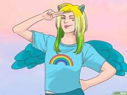 Size: 760x570 | Tagged: safe, derpibooru import, rainbow dash, human, humanized, wat, wikihow