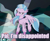 Size: 660x540 | Tagged: safe, derpibooru import, edit, edited screencap, editor:lyinx, screencap, silverstream, classical hippogriff, hippogriff, what lies beneath, cropped, dissapoint, female, flying, image macro, impact font, meme, silverstream is not amused, solo focus, text, unamused, wings