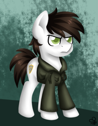 Size: 463x593 | Tagged: safe, artist:sabrib, derpibooru import, oc, oc:nomad aegis, earth pony, pony, clothes, male, solo