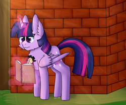 Size: 1024x854 | Tagged: safe, artist:sugarsprink, derpibooru import, twilight sparkle, twilight sparkle (alicorn), alicorn, fanfic:songs of the spheres, fanfic:the influence, fanfic art, magic, notebook, solo, twilence, wall, writing