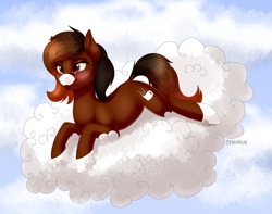 Size: 3000x2363 | Tagged: safe, artist:starshade, derpibooru import, oc, oc only, oc:java, earth pony, pony, blushing, cloud, cute, cutie mark, earth pony on cloud, female, mare, on a cloud, prone, socks (coat marking), solo