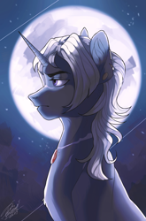 Size: 2193x3327 | Tagged: safe, artist:orfartina, derpibooru import, oc, oc only, pony, unicorn, commission, full moon, male, moon, night, side view, signature, solo, stars