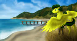 Size: 1600x852 | Tagged: safe, artist:acry-artwork, derpibooru import, oc, oc:sun spot, pegasus, pony, beach, ocean, realistic, realistic background, scar, sky