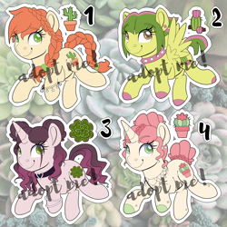 Size: 4000x4000 | Tagged: safe, artist:partylikeanartist, derpibooru import, oc, oc only, earth pony, pegasus, pony, unicorn, adoptable, adopts, bangles, bracelet, braid, cactus, charm bracelet, choker, collar, ear piercing, earring, female, jewelry, mare, necklace, ombre hair, piercing, plant, spiked choker, succulents