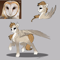 Size: 3000x3000 | Tagged: safe, artist:skitsroom, derpibooru import, owl, pegasus, pony, black sclera, ear fluff, gray background, owl pony, ponified, signature, simple background, solo, wings