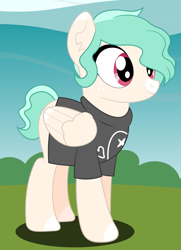 Size: 3385x4687 | Tagged: safe, artist:rainbowsurvivor, derpibooru import, oc, oc only, oc:snap happy, pegasus, pony, blaze (coat marking), bush, clothes, ear fluff, female, floral head wreath, flower, grass, mare, shirt, sky, solo, t-shirt